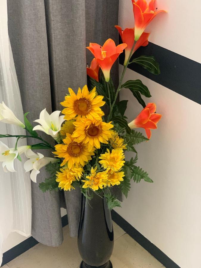 Hotel Neyra Beach 리미니 외부 사진